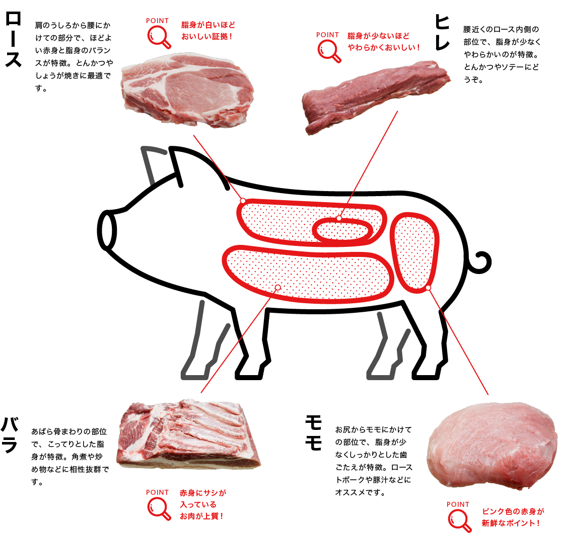 お役立ち情報 あまいけ